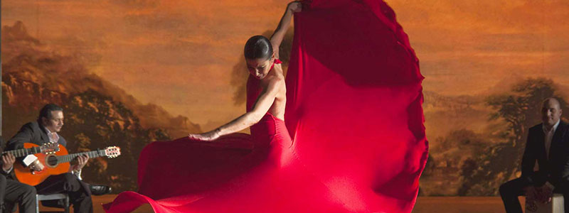 flamenco_800x300