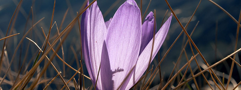 Озеро Женто